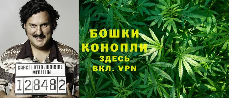 Шишки марихуана тримм  ссылка на мегу ТОР  дарк нет как зайти  Ардатов 